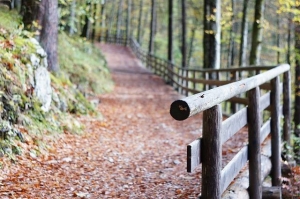 Get ready for Stony Rail Trail Event at Sweet Arrow Lake County clubhouse on Oct. 18:
